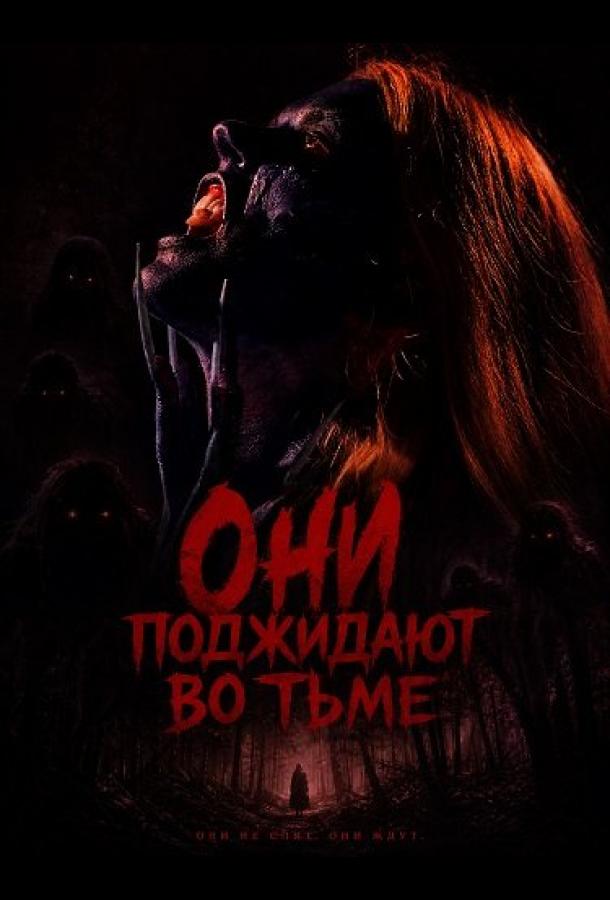 Они поджидают во тьме (2026)